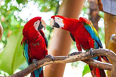 《枪火重生》DLC「墨雪画境」携新赛季上线 全新角色武器来袭